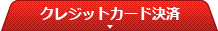 クレジットカード決済